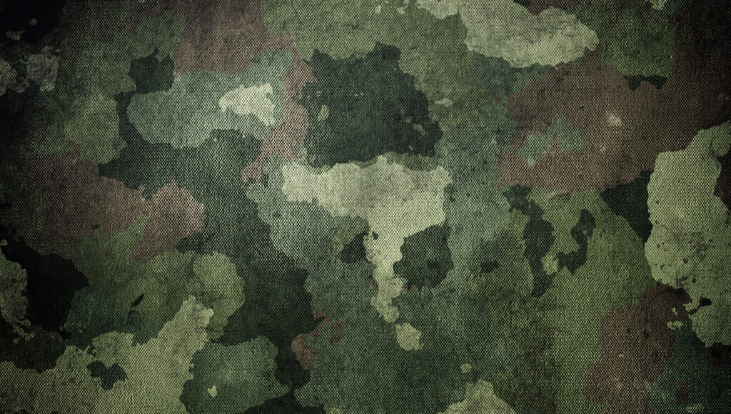 bwi success story header