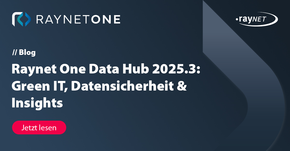 Raynet One Data Hub 2025-3 platform news header